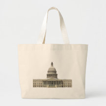 US Capitool: Washington DC