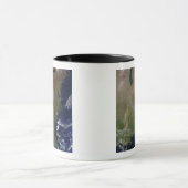 US East Coast 2 Mok (Midden)