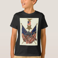 US Flag Union Civil War Medal Eagle