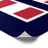 US Freedom Flag Poster (medium) (Hoek)