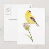 US Goldfinch en Thistle-briefkaart Briefkaart (Voorkant / Achterkant)