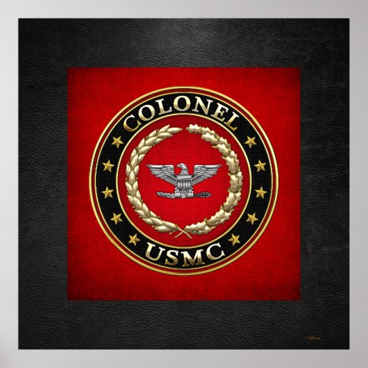 US Marines: Kolonel (USMC Col) [3D] Poster (Voorkant)