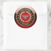 US Marines: Kolonel (USMC Col) [3D] Ronde Sticker (Tas)