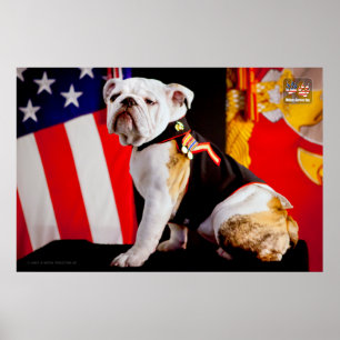 US MILITAIRE SERVICE DOG POSTER