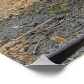 US MILITAIRE WERKDOG POSTER (Hoek)