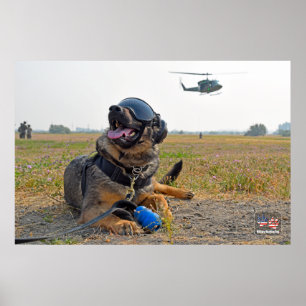 US MILITAIRE WERKDOG POSTER