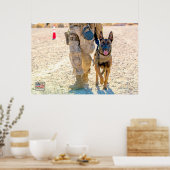 US MILITAIRE WERKDOG POSTER (Keuken)