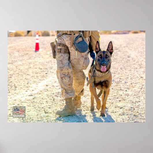 US MILITAIRE WERKDOG POSTER (Voorkant)
