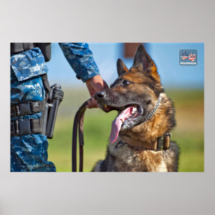 US MILITAIRE WERKDOG POSTER