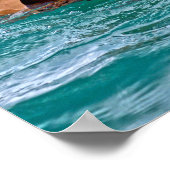 US MILITAIRE WERKDOG POSTER (Hoek)