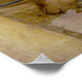 US MILITAIRE WERKDOG POSTER (Hoek)