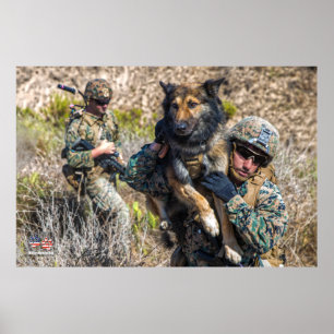 US MILITAIRE WERKDOG POSTER
