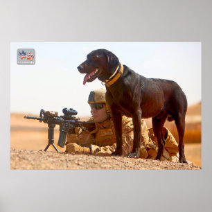 US MILITAIRE WERKDOG POSTER