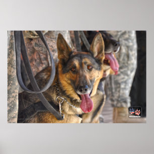 US MILITAIRE WERKDOG POSTER