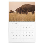 US National Parks Kalender (Mar 2027)