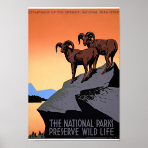 US National Parks Vintage Poster herstelde
