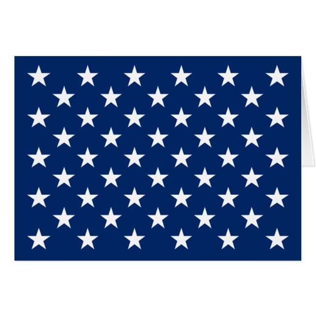 US Naval Jack (Voorkant Horizontaal)