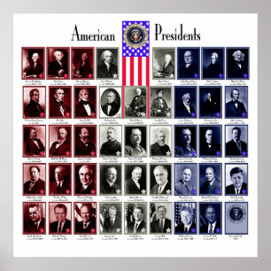 US PRESIDENTEN WHITE C/566 POSTER