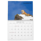US Public Lands Wildlife Calendar 2019 Kalender (Feb 2027)