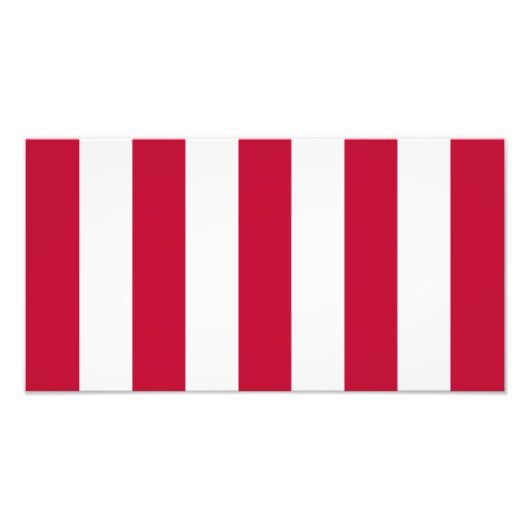 US Sons of Liberty 9 Stripes Flag Foto Afdruk (Voorkant)