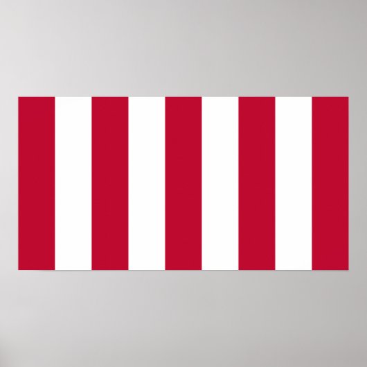 US Sons of Liberty 9 Stripes Flag Poster (Voorkant)