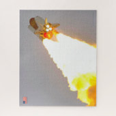 US SPACE SHUTTLE 1981-2011 (16x20 inch) Legpuzzel (Verticaal)