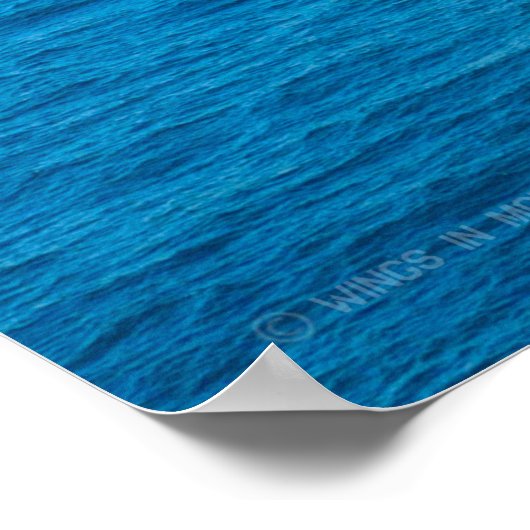 US VLIEGTUIG CARRIER - CVN-69 POSTER (Hoek)