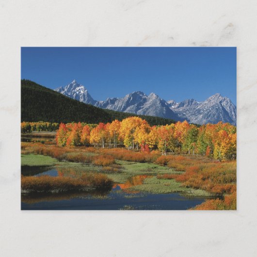 US, Wyoming, Grand Tetons National Park in Briefkaart (Voorkant)