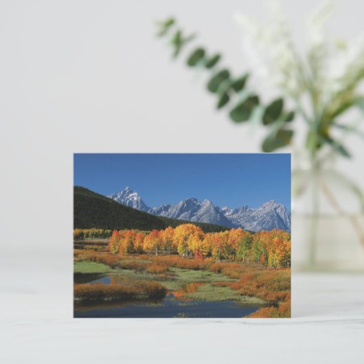 US, Wyoming, Grand Tetons National Park in Briefkaart (Staand voorkant)