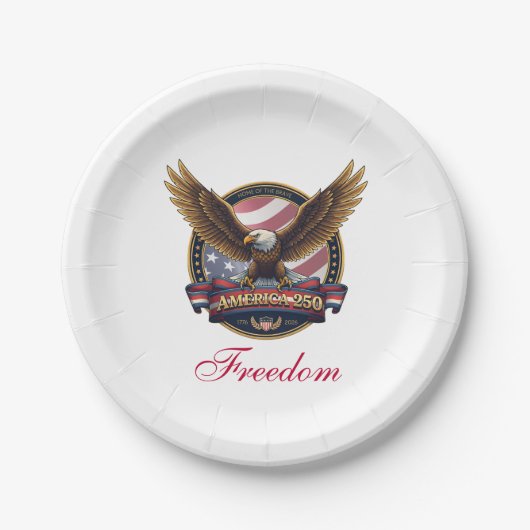 USA 250th Anniversary Party Papieren Bordje (Voorkant)