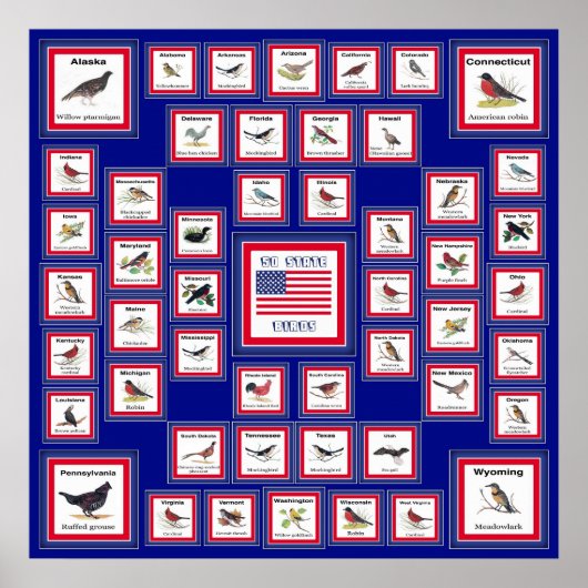 USA 50 STATE BIRDS BLUE/552 POSTER (Voorkant)