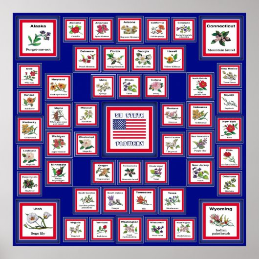 USA 50 STATE FLOWERS BLUE/558 POSTER (Voorkant)