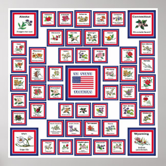USA 50 STATE FLOWERS WHITE/559 POSTER