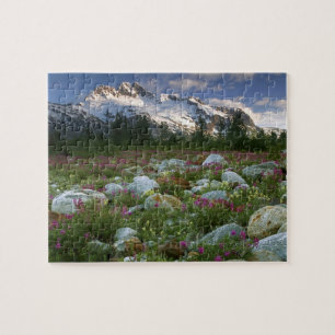 USA, Alaska, Alsek-Tatshenshini Wilderness. Weerga Legpuzzel