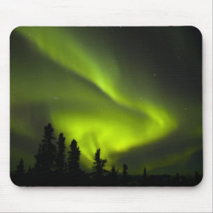 USA, Alaska, Chena Hot Springs. Aurora Borealis 2 Muismat