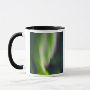 USA, Alaska, Chena Hot Springs. Aurora Borealis Mok