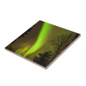 USA, Alaska, Chena Hot Springs. Uitzicht van Auror Tegeltje (Zijkant)