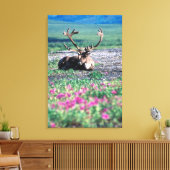 USA, Alaska, Denali National Park, Cariou Canvas Afdruk (Insitu (Woonkamer))