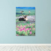 USA, Alaska, Denali National Park, Cariou Canvas Afdruk (Insitu (Houten vloer))