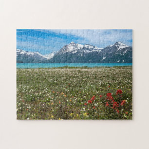 USA, Alaska, Glacier Bay National Park 2 Legpuzzel