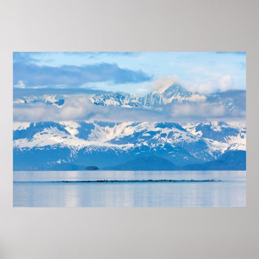 USA, Alaska, Glacier Bay National Park 6 Poster (Voorkant)