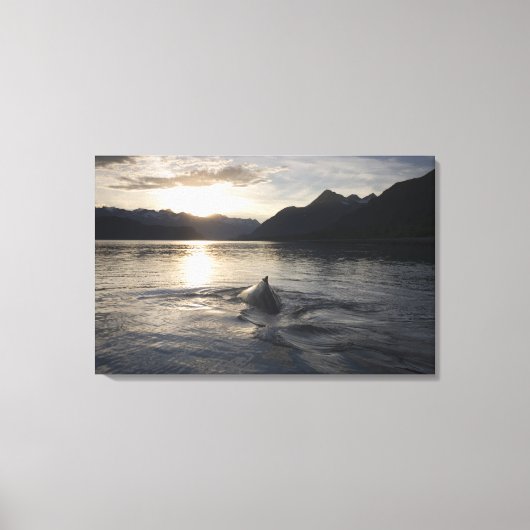 USA, Alaska, Glacier Bay National Park Canvas Afdruk (Voorkant)