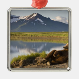 USA, Alaska, Katmai National Park, Brown Beren Metalen Ornament