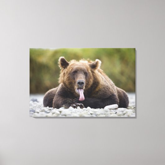 USA, Alaska, Katmai National Park, Kukak Bay Canvas Afdruk (Voorkant)