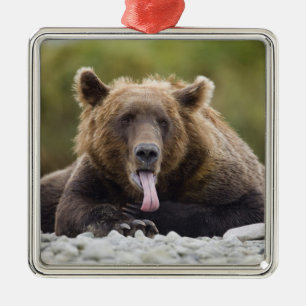 USA, Alaska, Katmai National Park, Kukak Bay Metalen Ornament