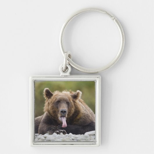 USA, Alaska, Katmai National Park, Kukak Bay Sleutelhanger (Voorkant)
