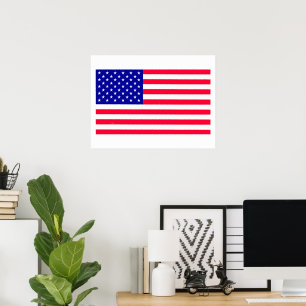 USA Amerikaanse Vlag Waarde Posters Papier Matte