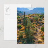USA, Arizona. Desert View Briefkaart (Voorkant / Achterkant)