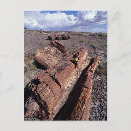 USA, Arizona, Petrified Forest National Park, 2 Briefkaart (Voorkant)