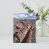 USA, Arizona, Petrified Forest National Park, 2 Briefkaart (Staand voorkant)
